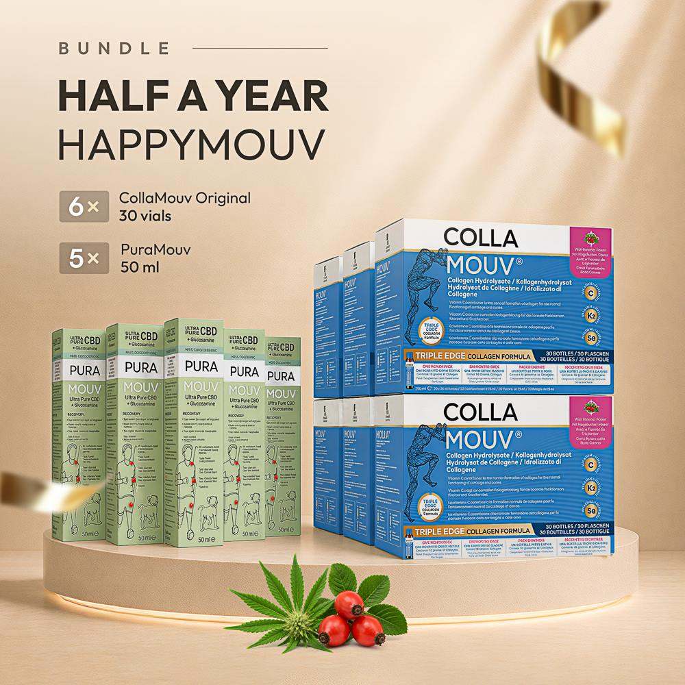 Half-Year HappyMouv &mdash; visuel officiel du coffret